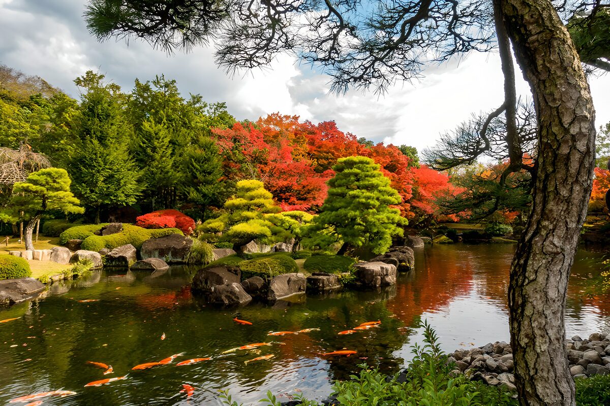 Tranquil Autumn Reflections