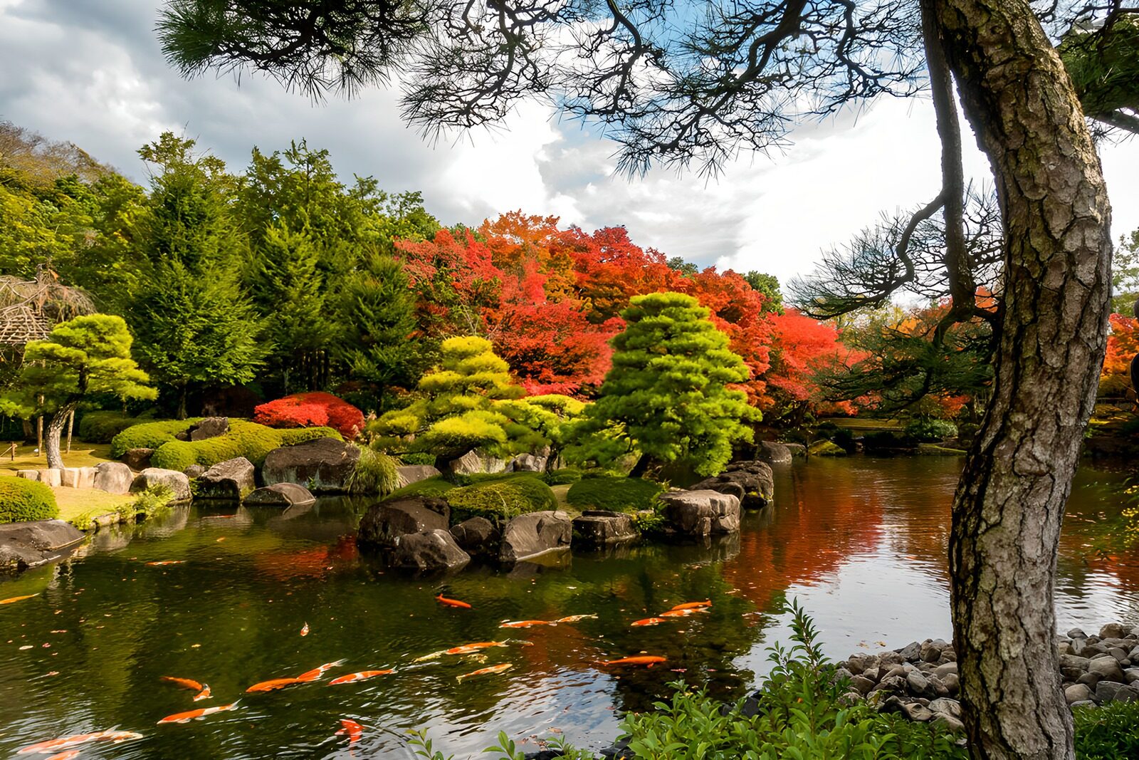 OCCOM1421949: Tranquil Autumn Reflections