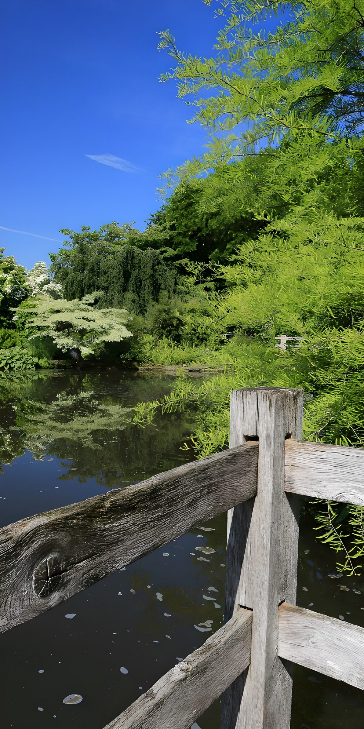 OCCOM5445669: Serene Waterside Oasis