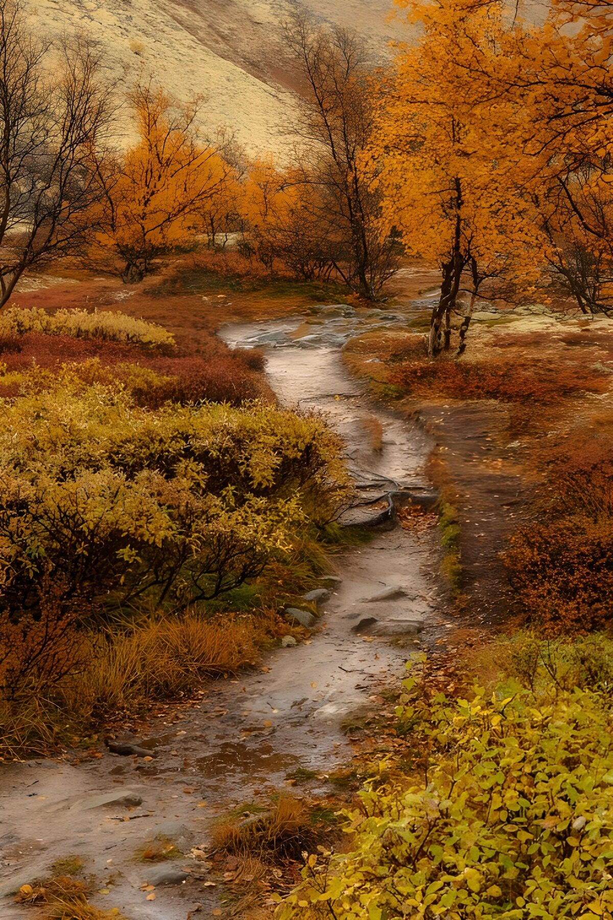 Serene Autumn Pathway in Nature