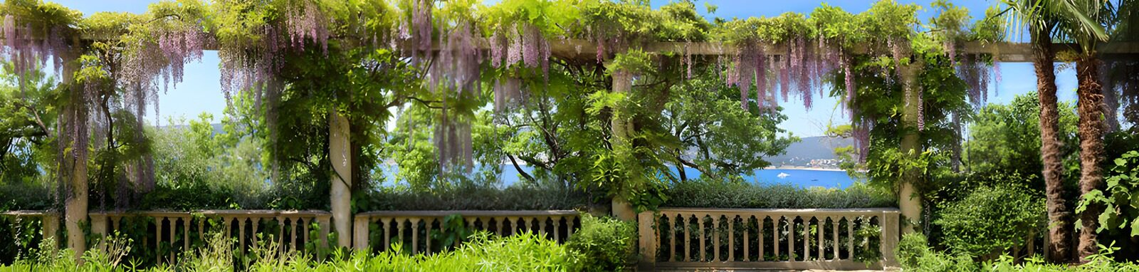 OCCOM3621046: Serene Garden Awash in Wisteria Blooms