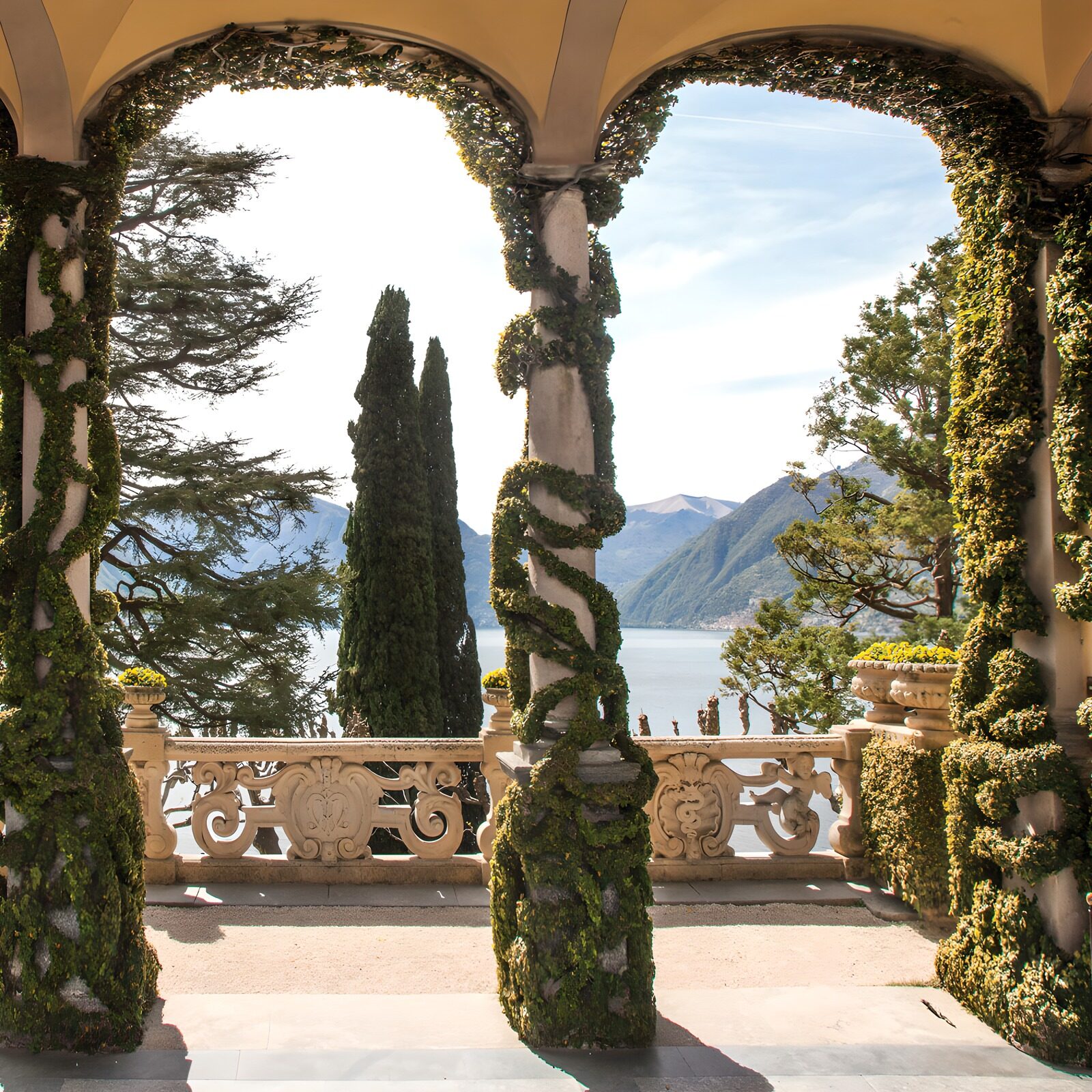 OCCOM5796337: Serene View from Ivy-Covered Archways