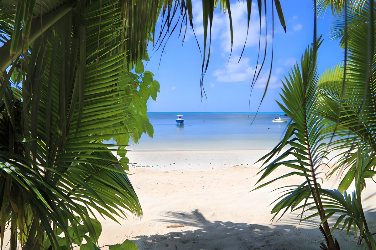 Tranquil Beach Escape