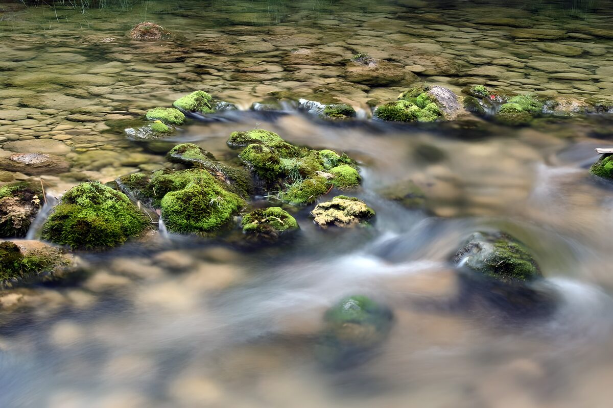 OCCOM6000299: Tranquil Stream Over Mossy Rocks