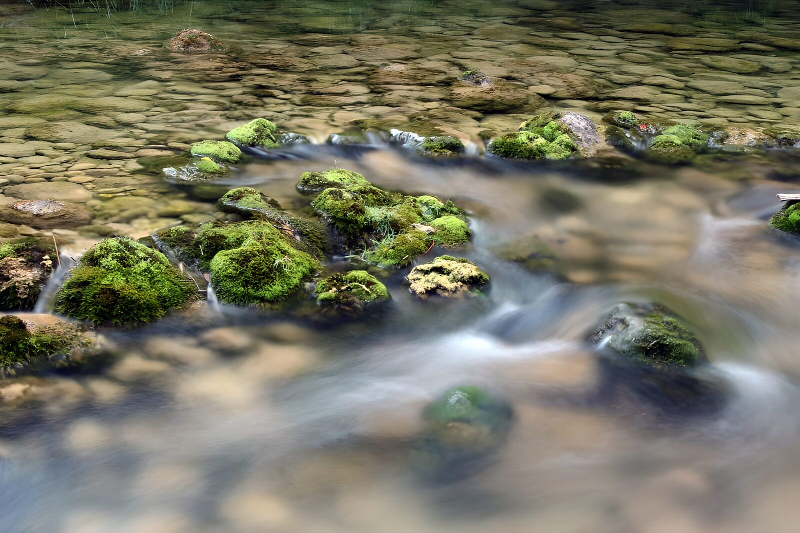 OCCOM6000299: Tranquil Stream Over Mossy Rocks