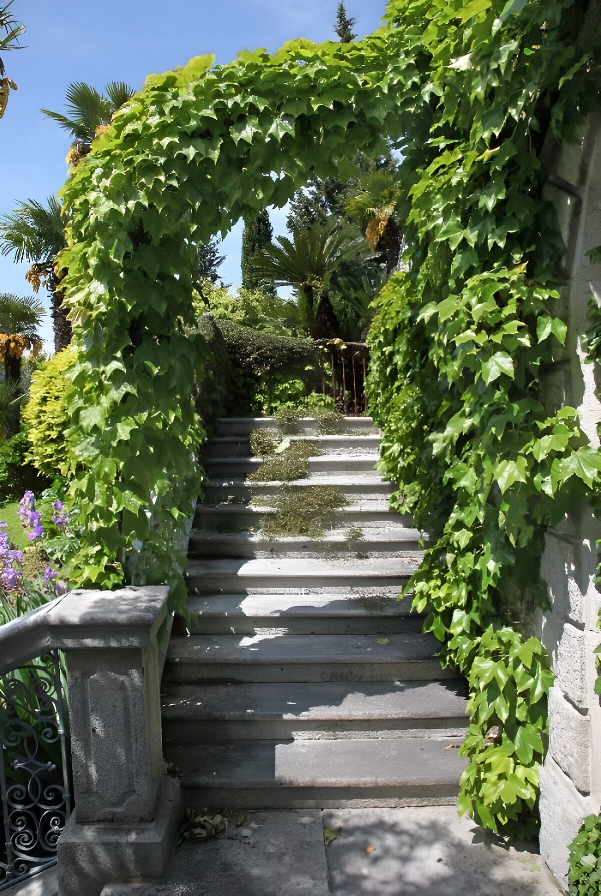 OCCOM6620191: Lush Garden Stairway Arch