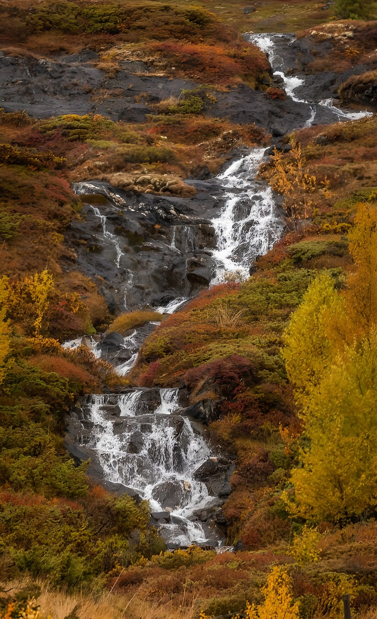 Autumn Waterfall Cascading Down Rocks