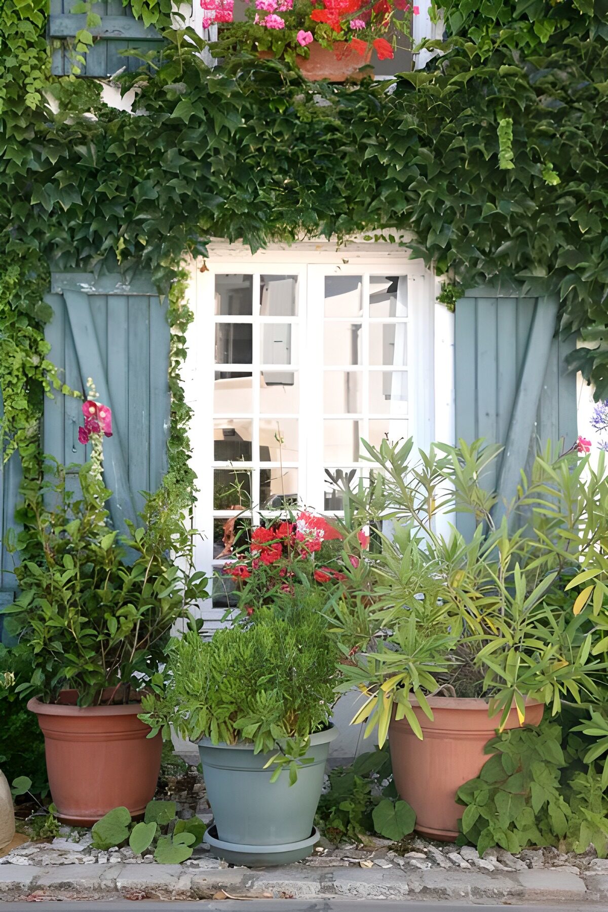 OCCOM1772952: Serene Garden Window