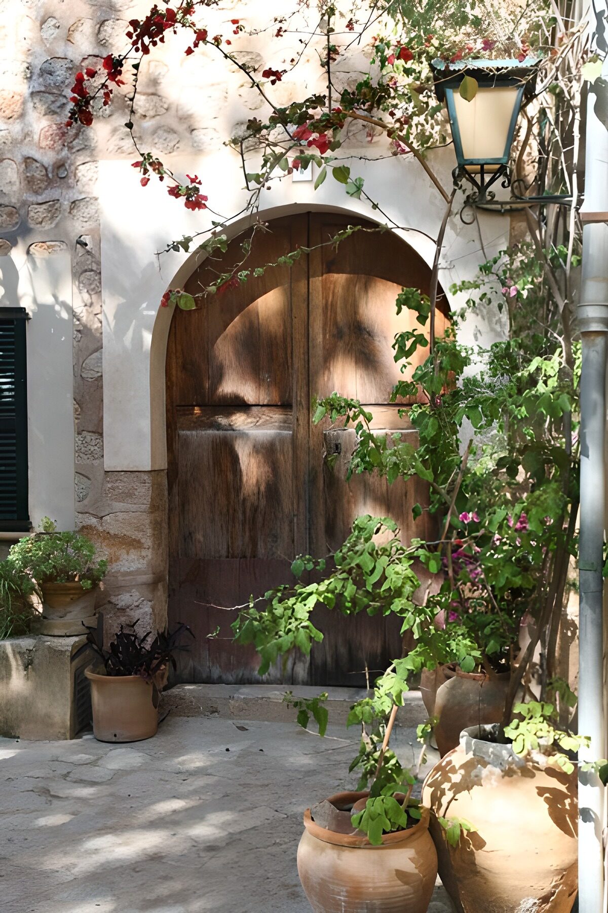 OCCOM2713720: Charming Wooden Door with Greenery
