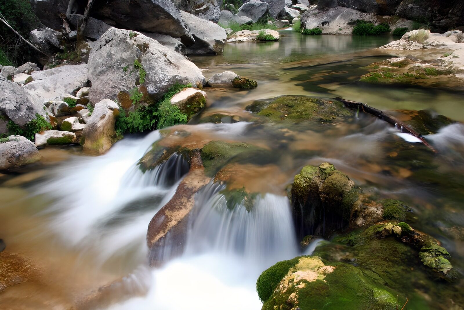 OCCOM4472534: Tranquil Mountain Stream