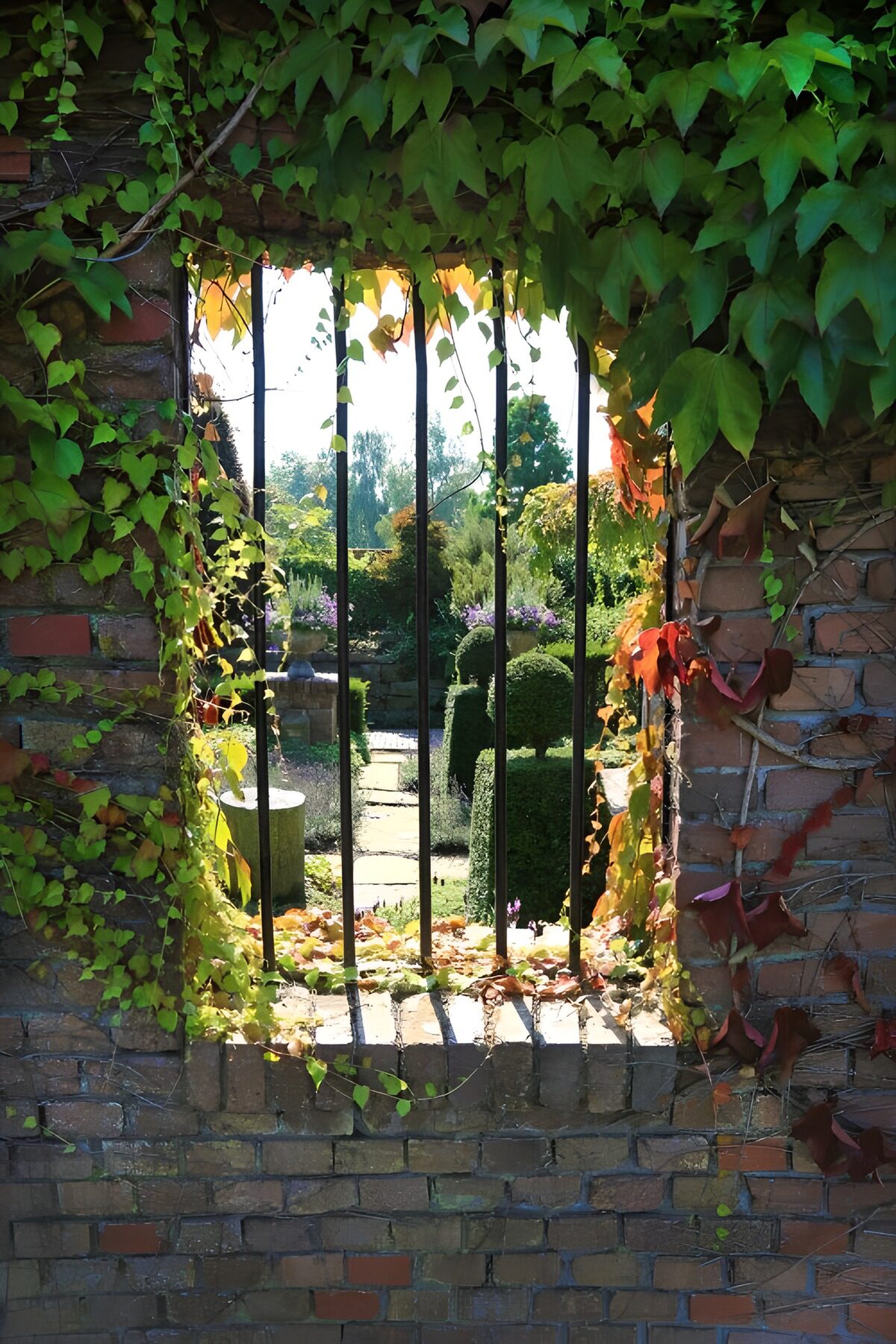 Framed by Nature: A Secret Garden View