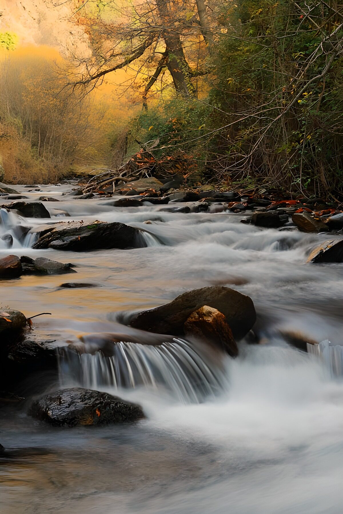 Serene Flow of a Mountain Stream