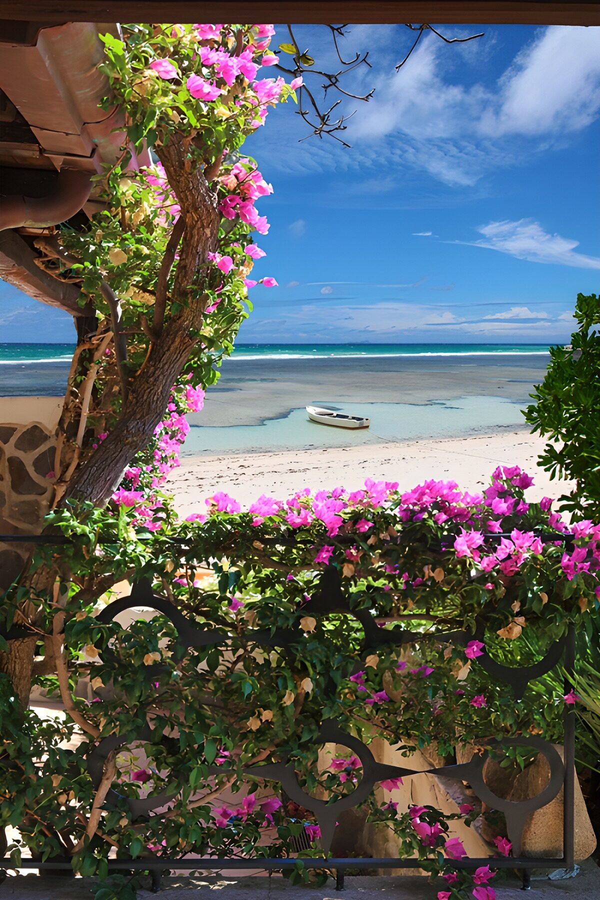Coastal Paradise with Bougainvillea
