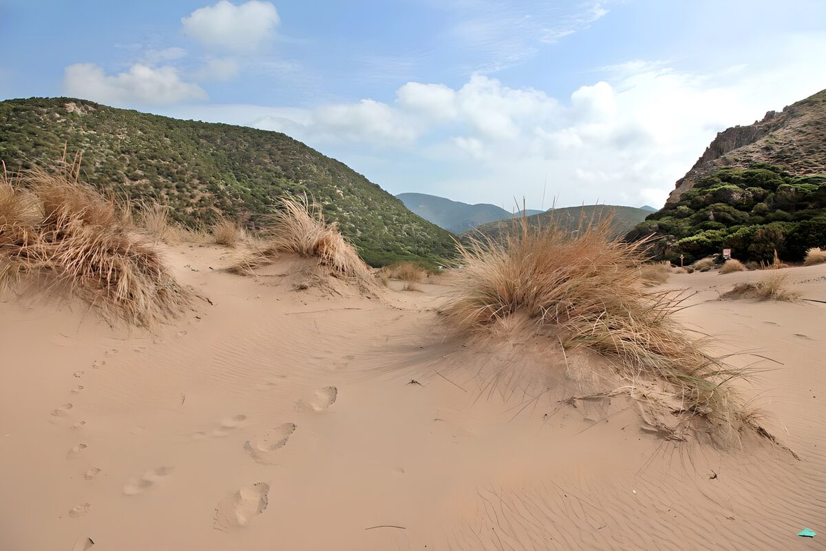 OCCOM4409374: Tranquil Desert Footsteps