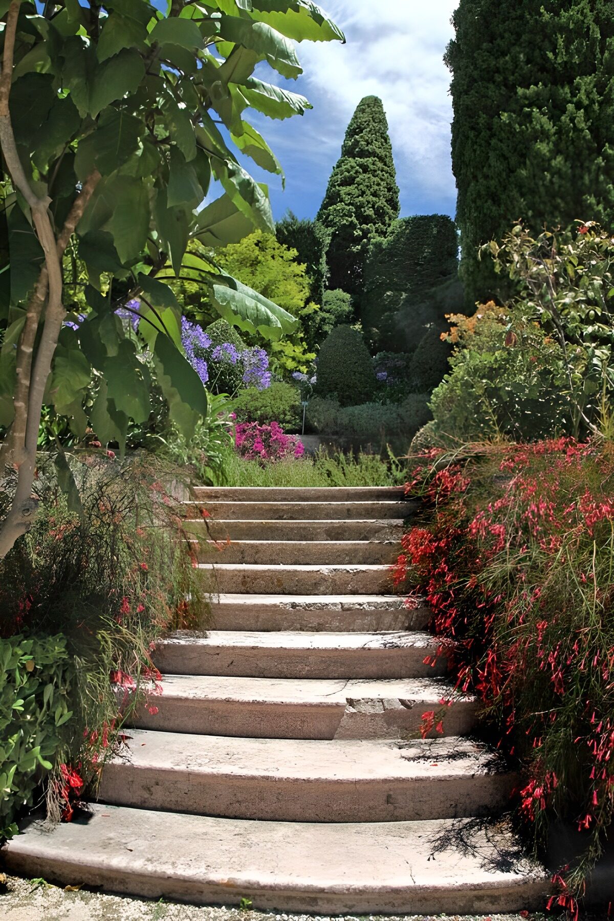 OCCOM8055307: Serene Garden Steps