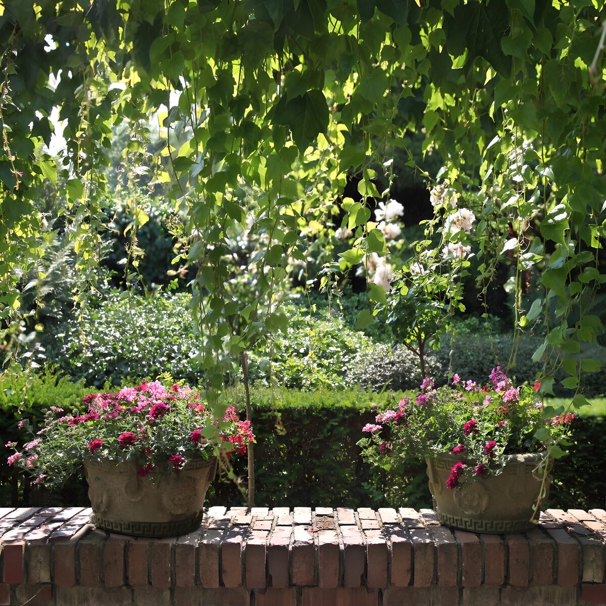 OCCOM3355646: Serene Garden with Blooming Flowers