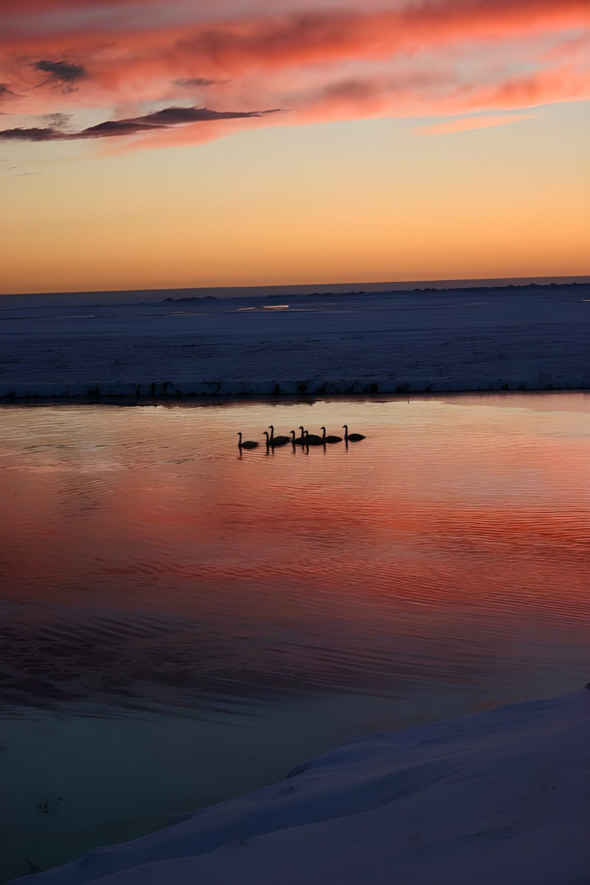 Serene Sunset Over Winter Waters