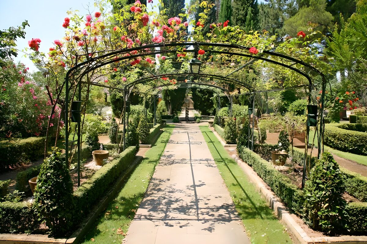 Serene Floral Garden Pathway