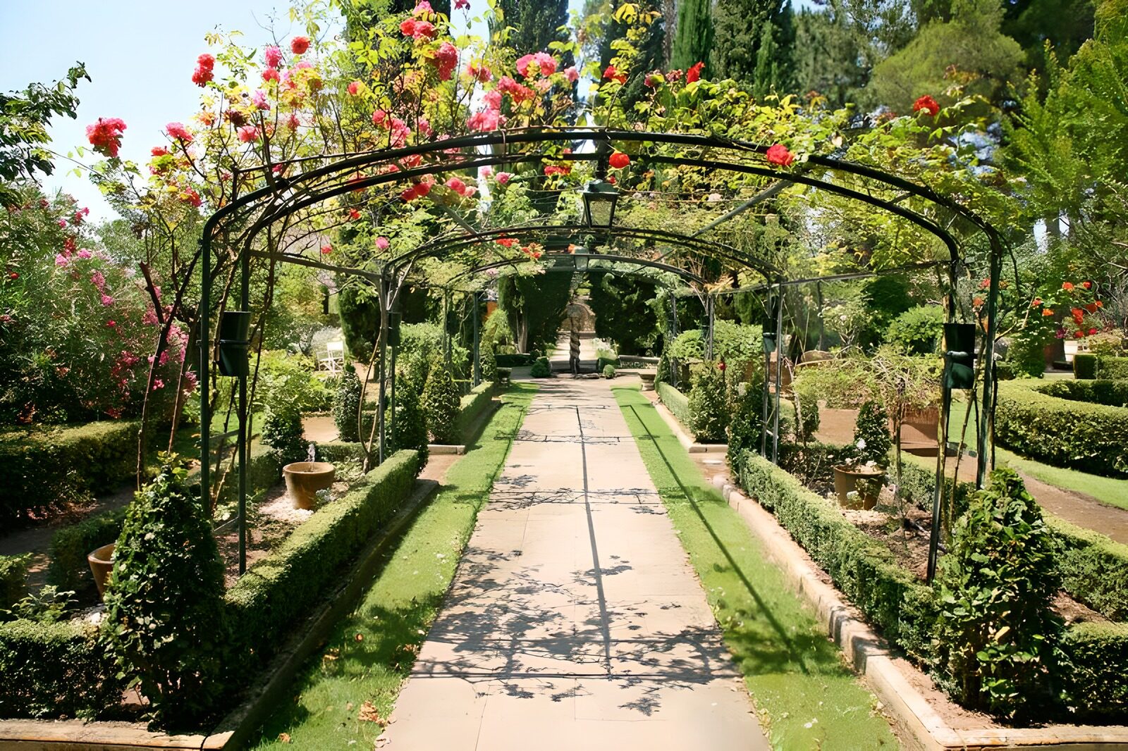 OCCOM6513645: Serene Floral Garden Pathway