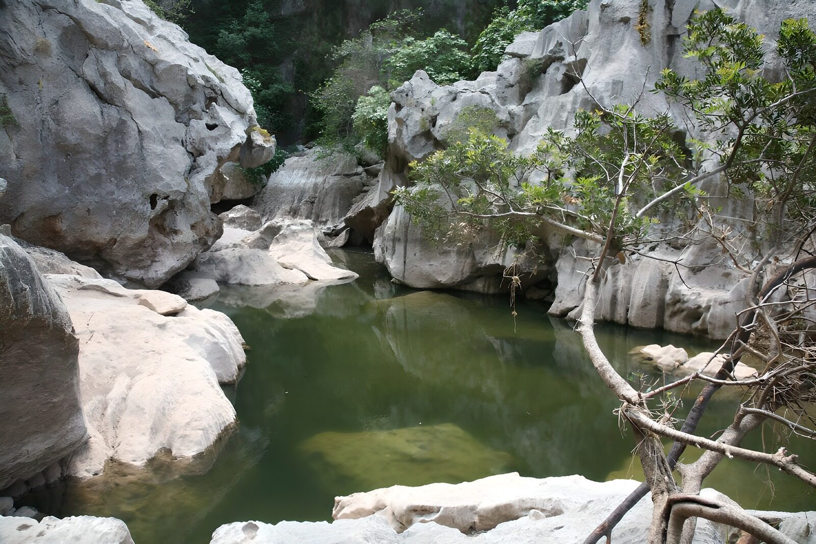 OCCOM1976148: Serene Rocky Oasis