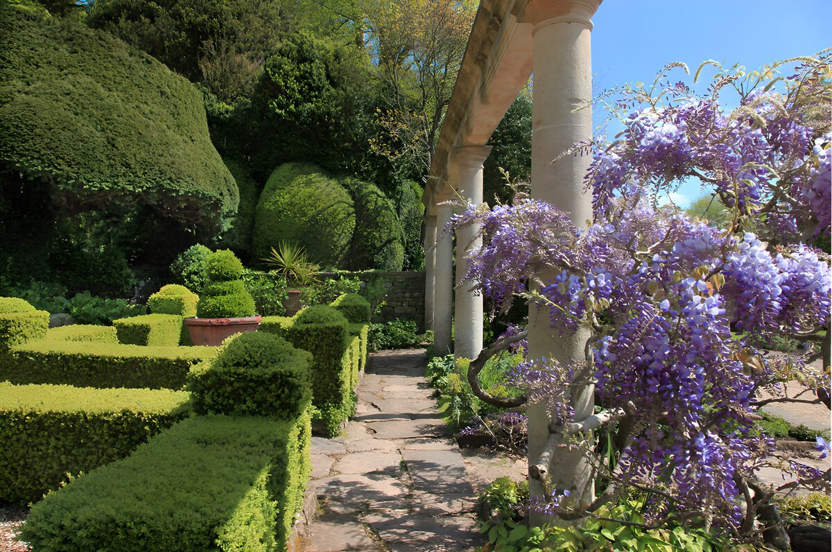 OCCOM3847593: Tranquil Garden Pathway in Bloom