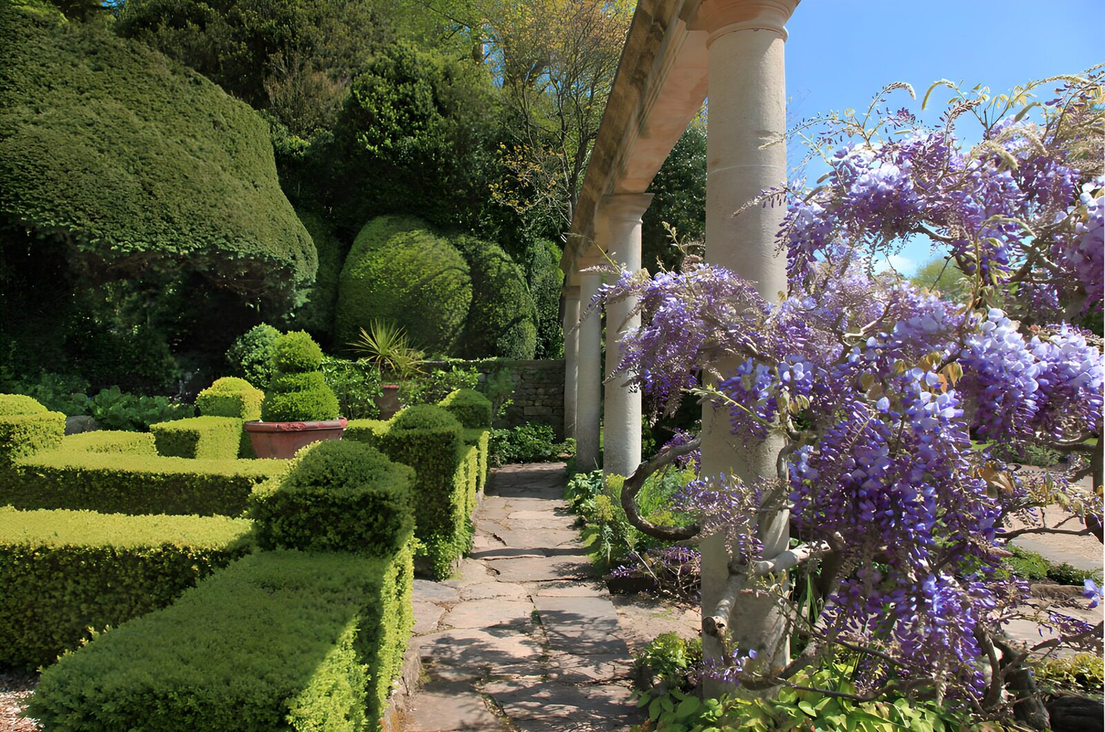 OCCOM3847593: Tranquil Garden Pathway in Bloom