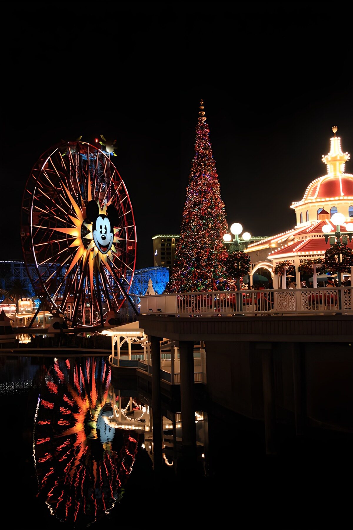 OCCOM7318173: Magical Holiday Night at the Park