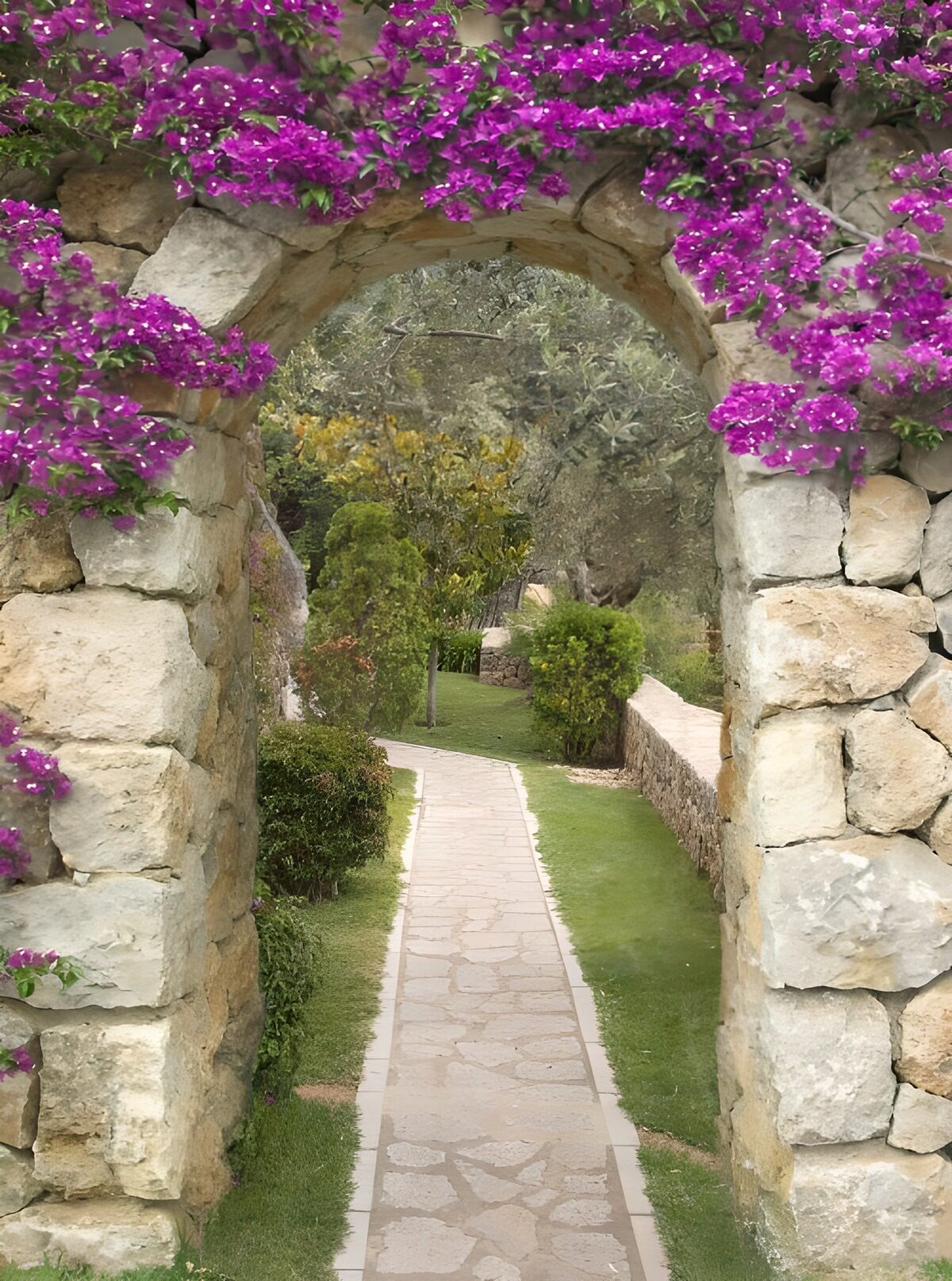 OCCOM7003877: Serene Garden Pathway Arch