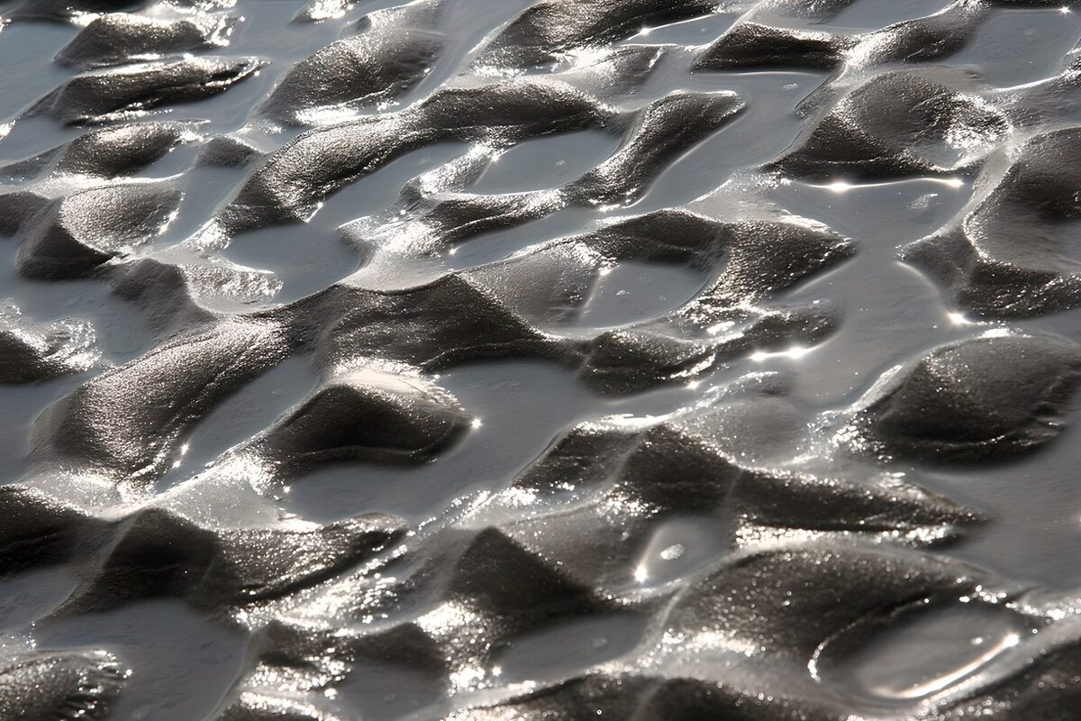 OCCOM4477823: Reflections on Silky Sand Patterns