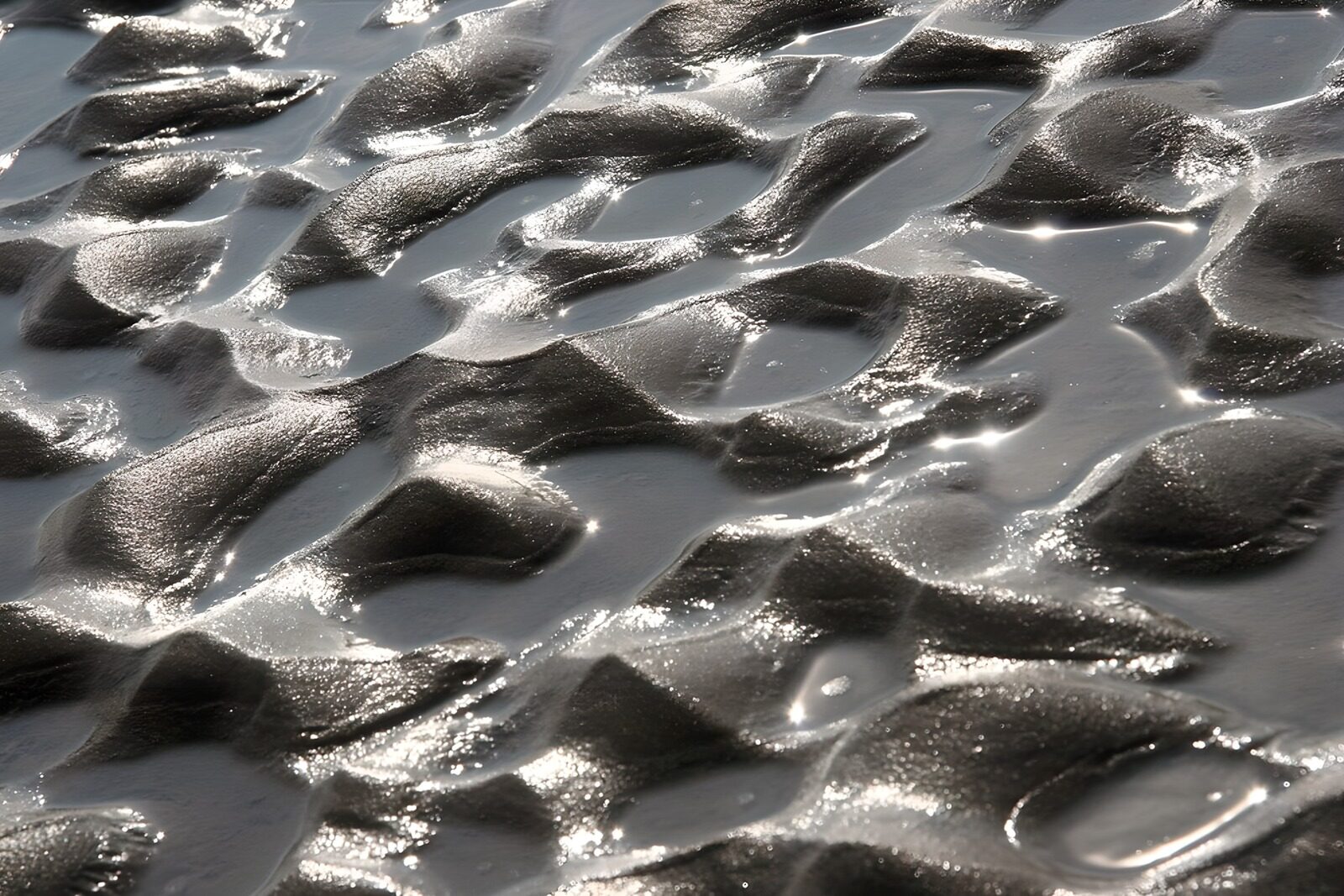 OCCOM4477823: Reflections on Silky Sand Patterns