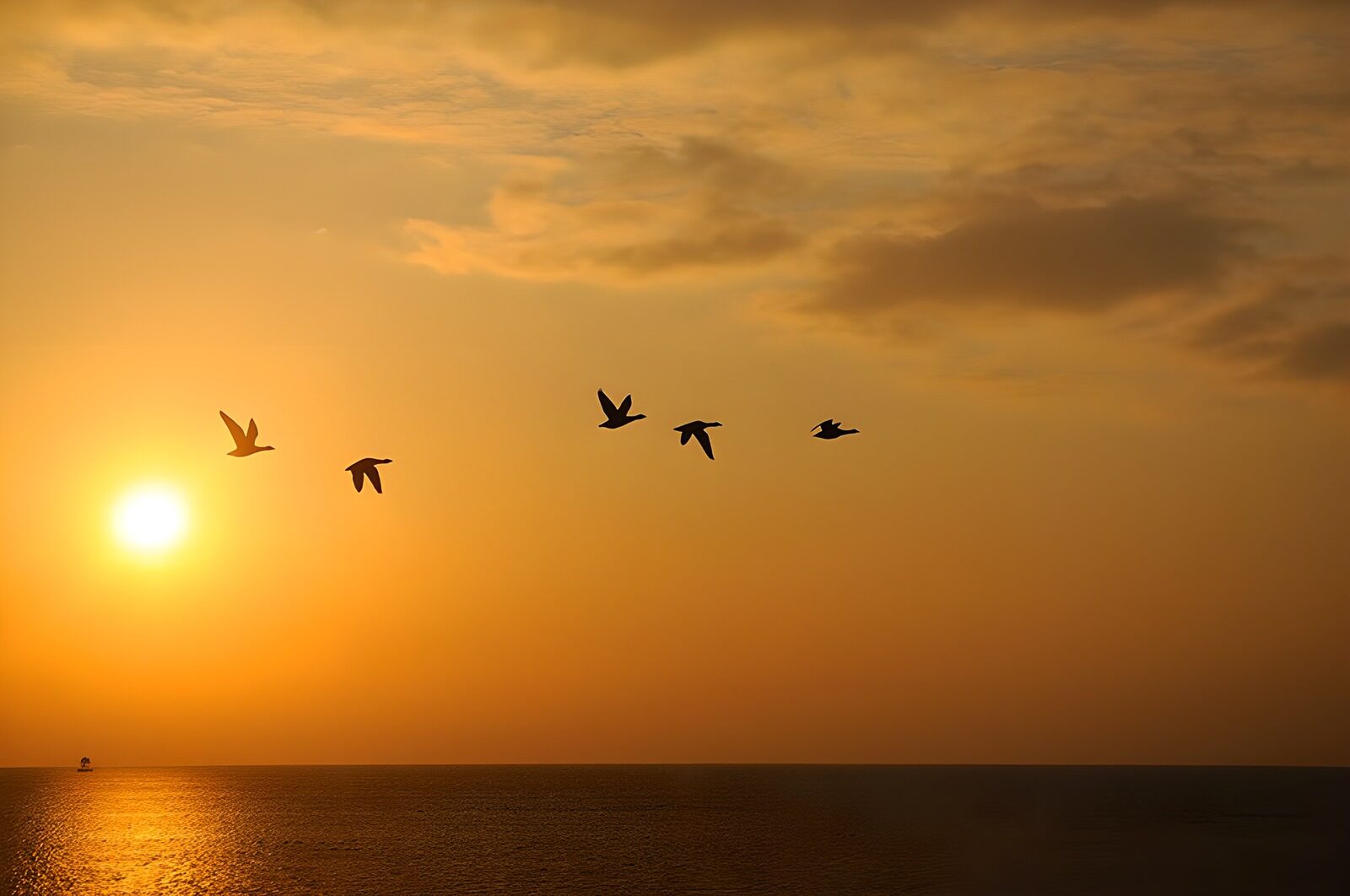 OCCOM1275485: Serene Sunset Over the Ocean