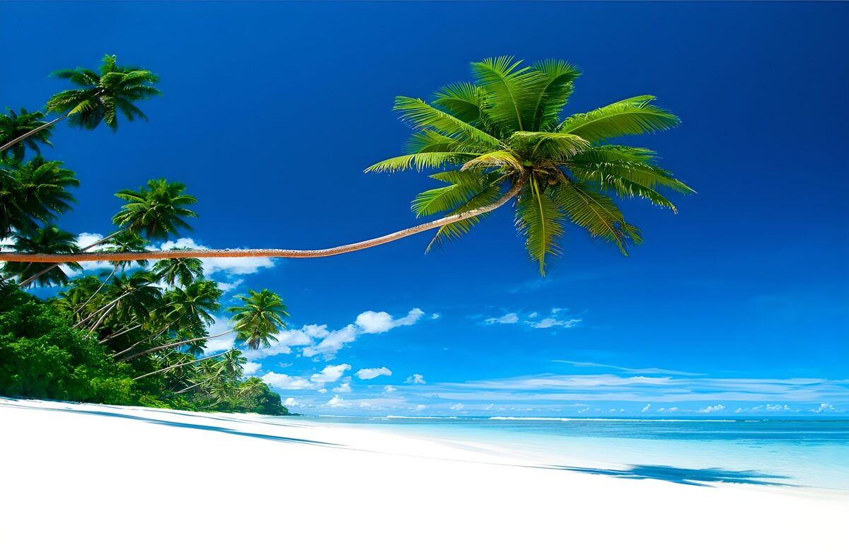 OCCOM2221912: Tropical Paradise by the Sea