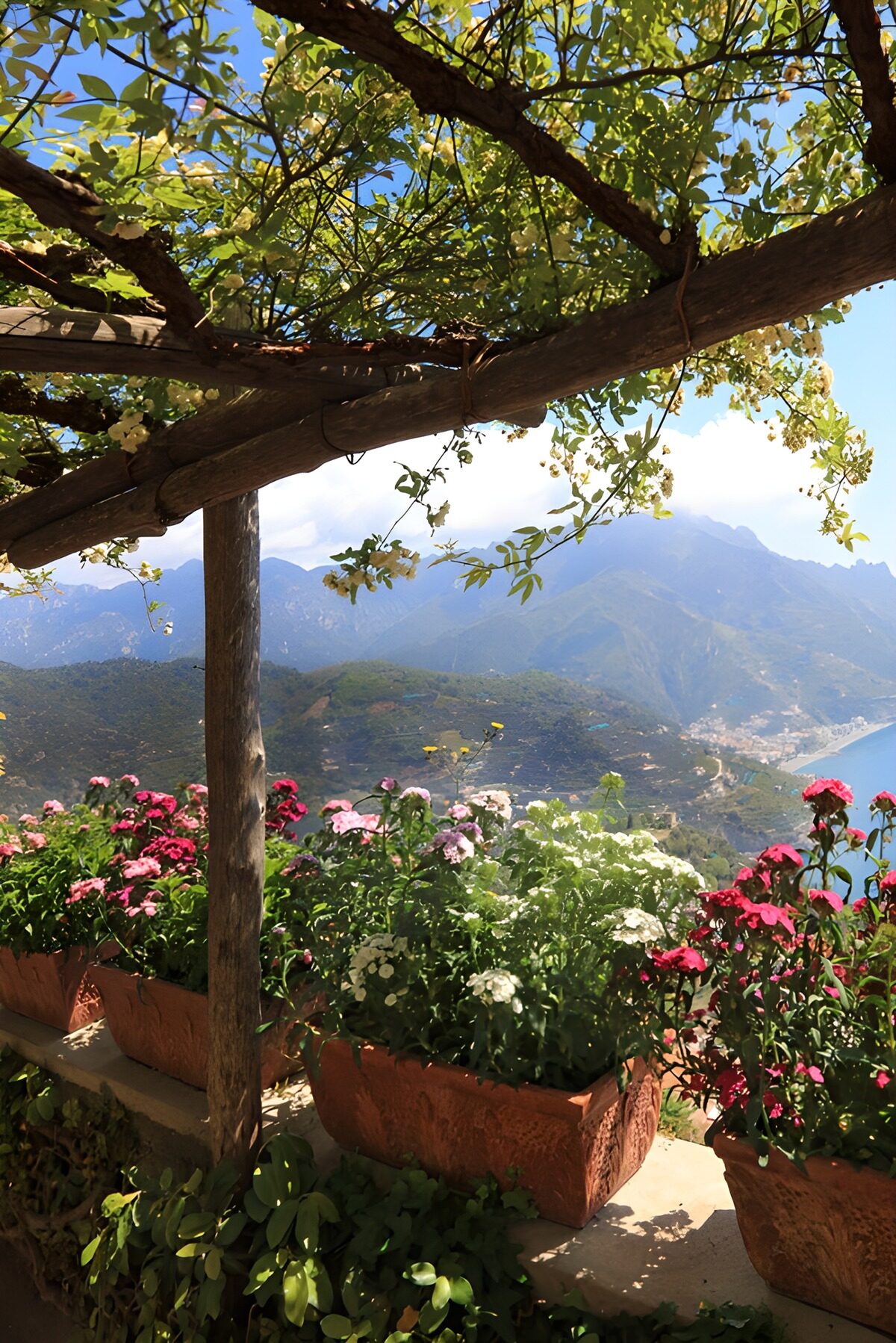 Blooming Vista Over Coastal Mountains