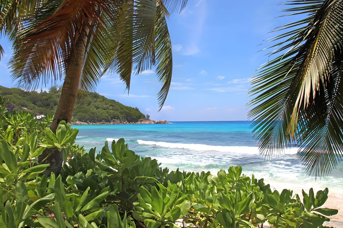 OCCOM9242131: Tropical Paradise by the Shore