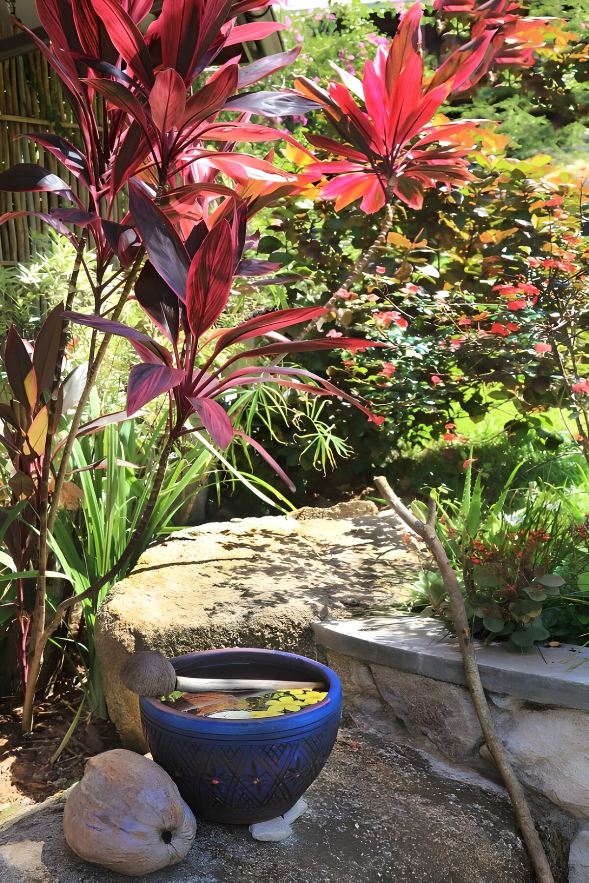 Tranquil Garden Serenity