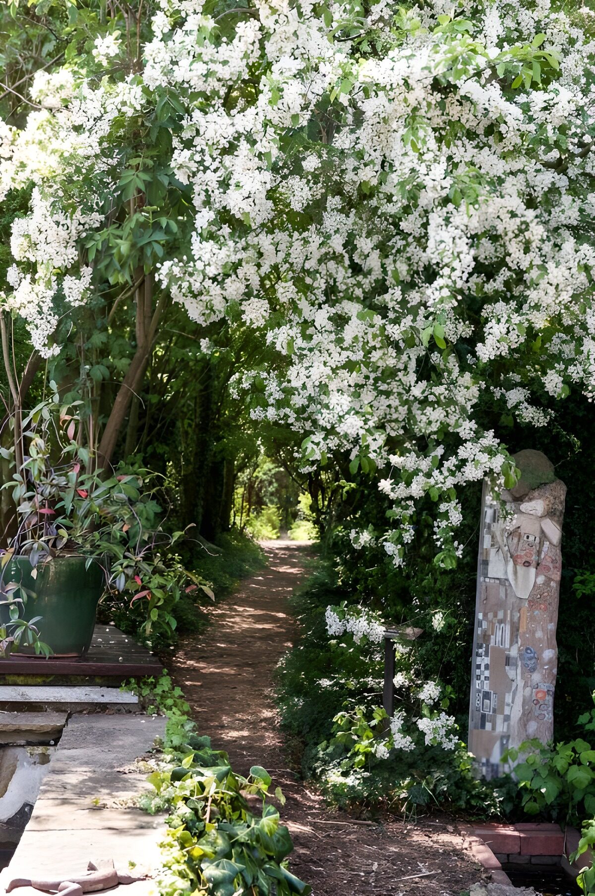Tranquil Pathway Through Blossoming Trees