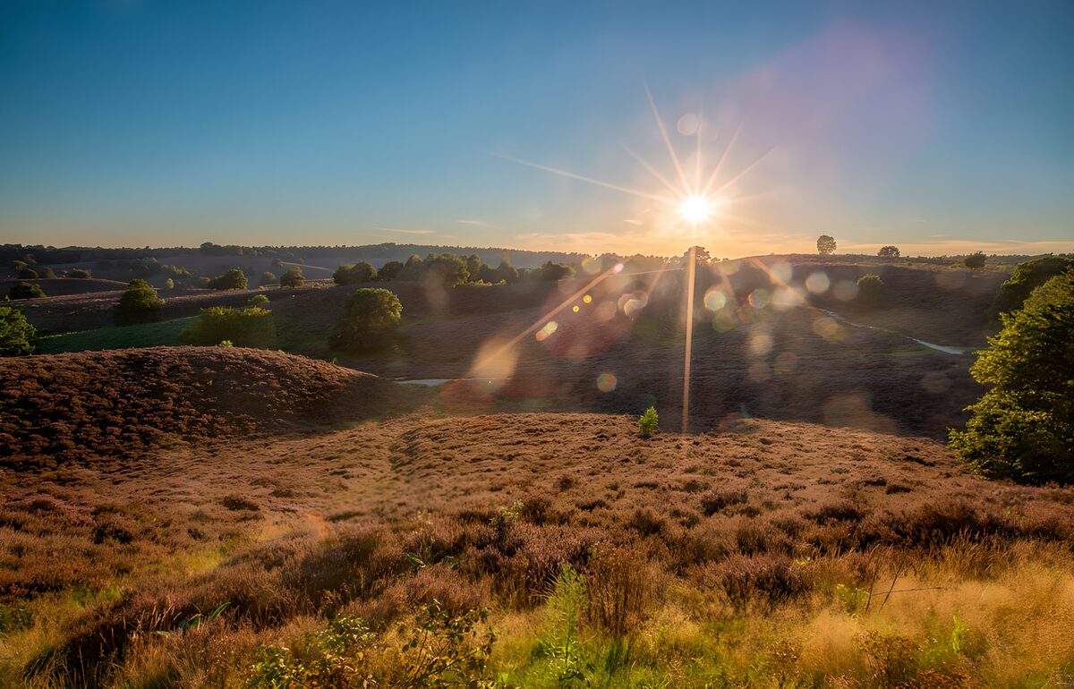 Serene Sunrise Over Heather Hills