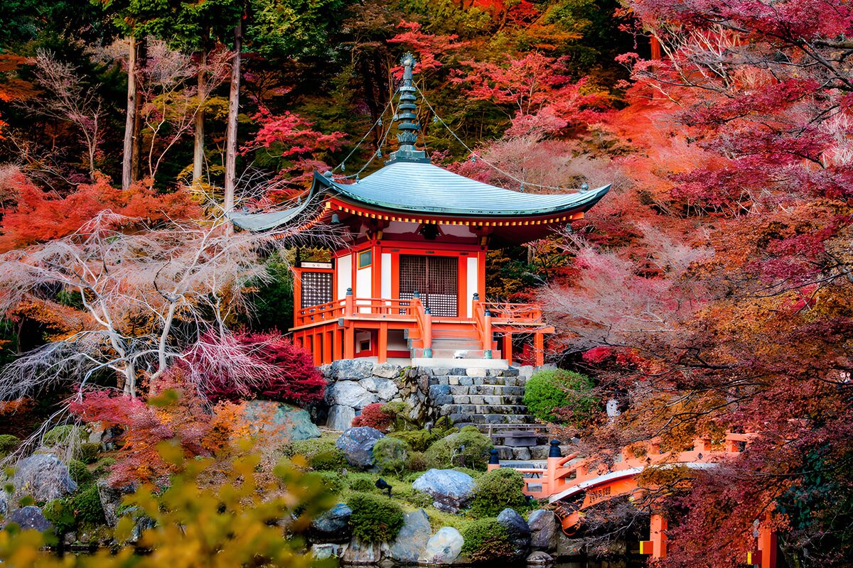 OCCOM8857890: Tranquil Autumn Sanctuary