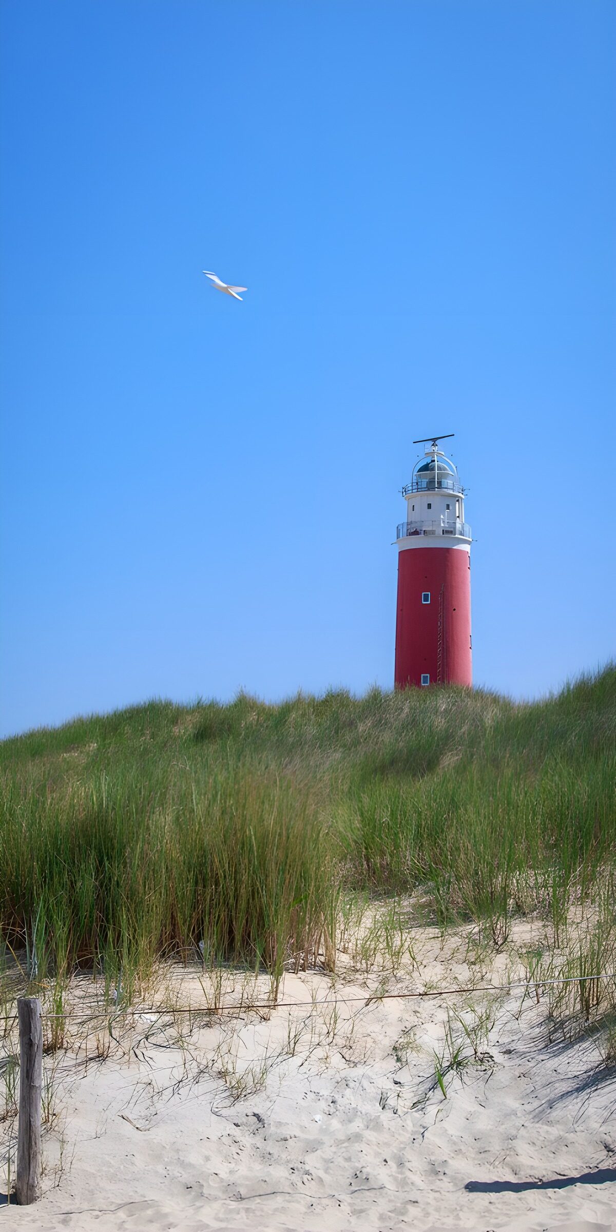 OCCOM8275631: Coastal Beacon by the Dunes