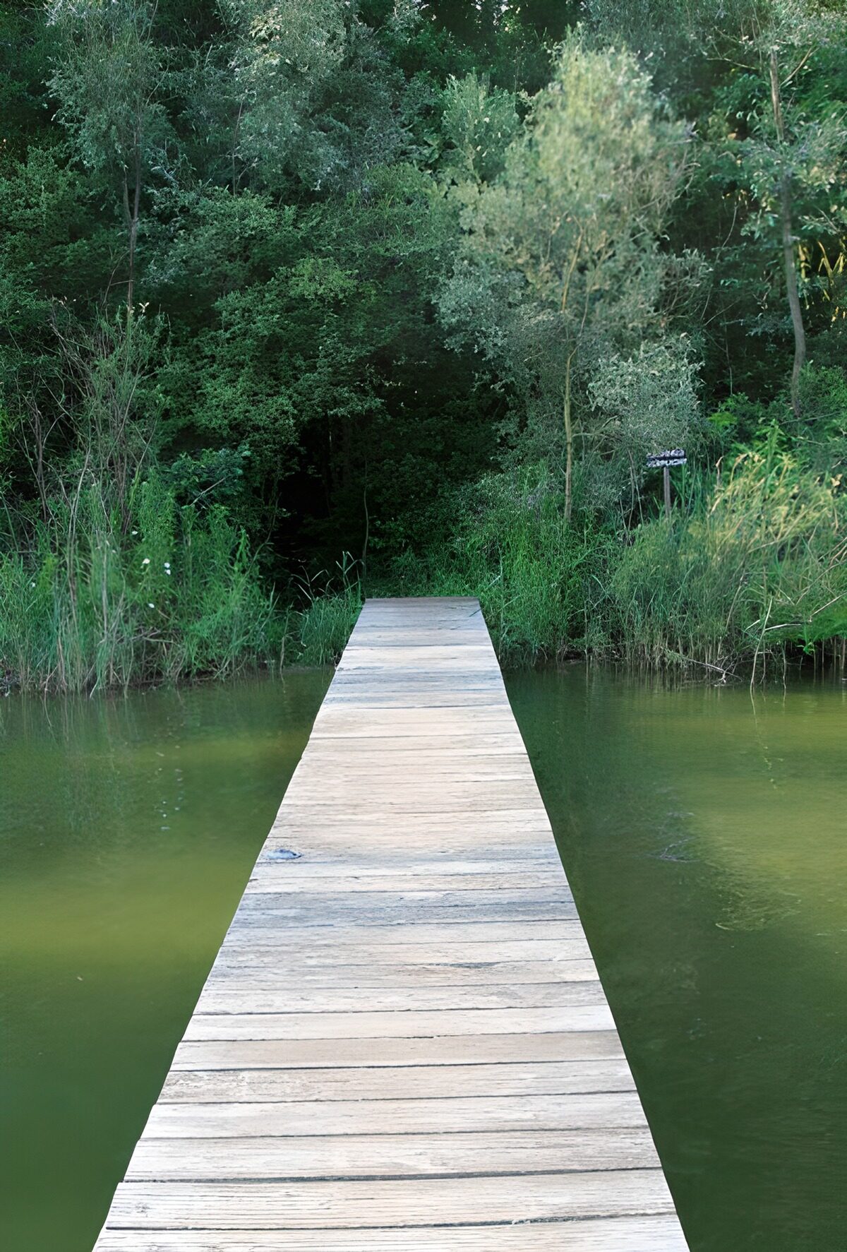 OCCOM9041087: Serene Wooden Dock by the Water