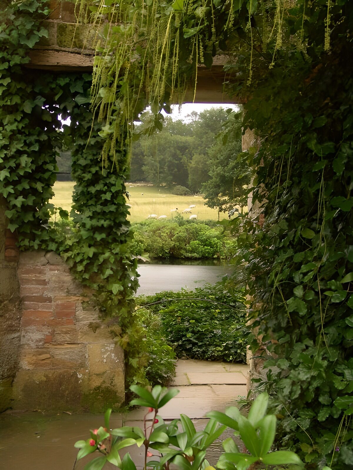 OCCOM4792998: Serene Nature Through an Arch