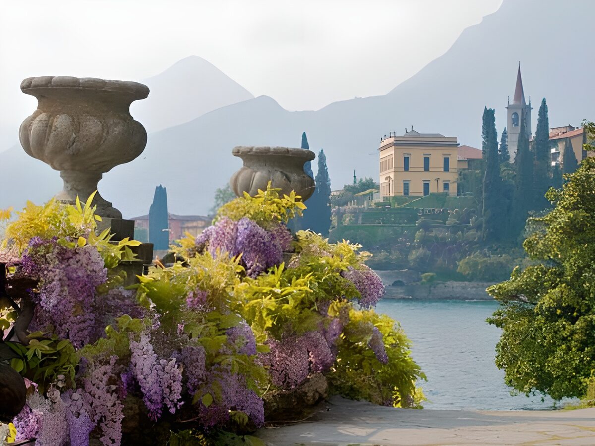 Serene Lakeside Views with Blossoms