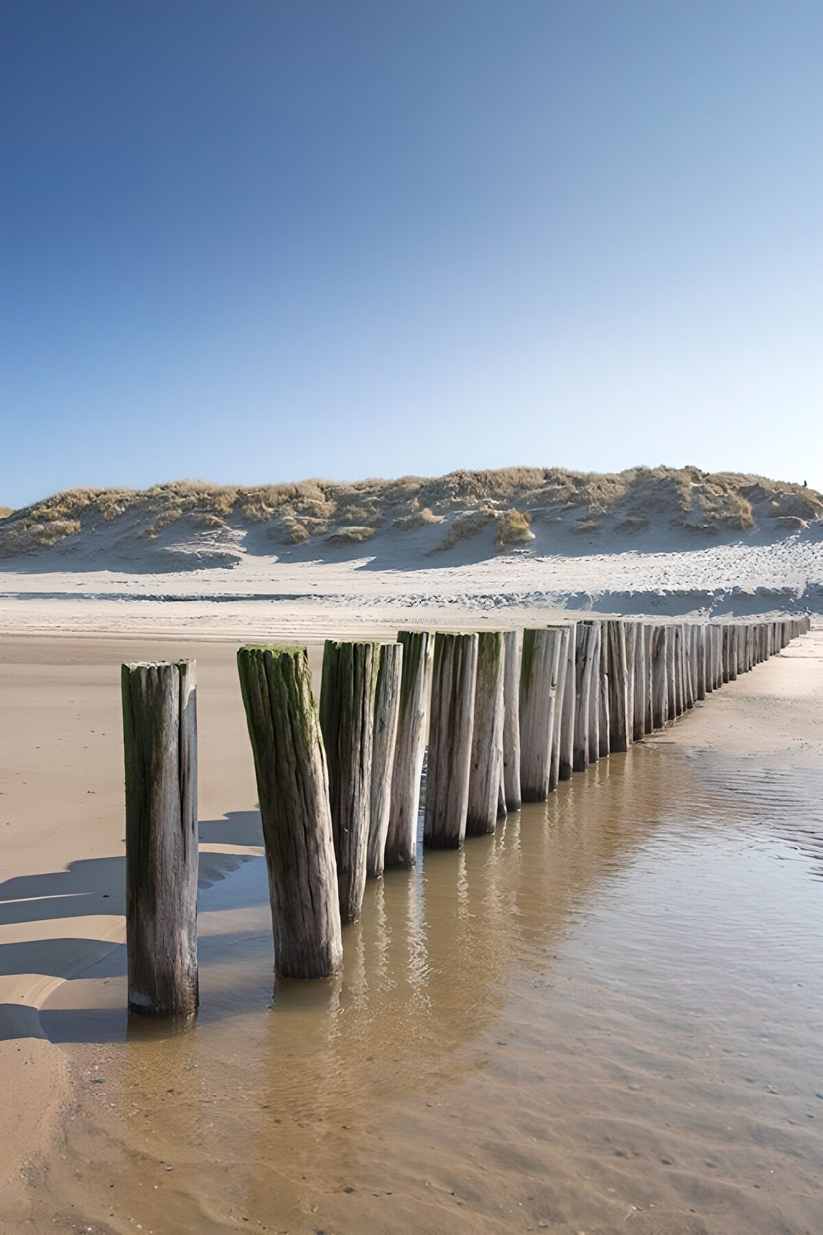 Coastal Pillars at Low Tide