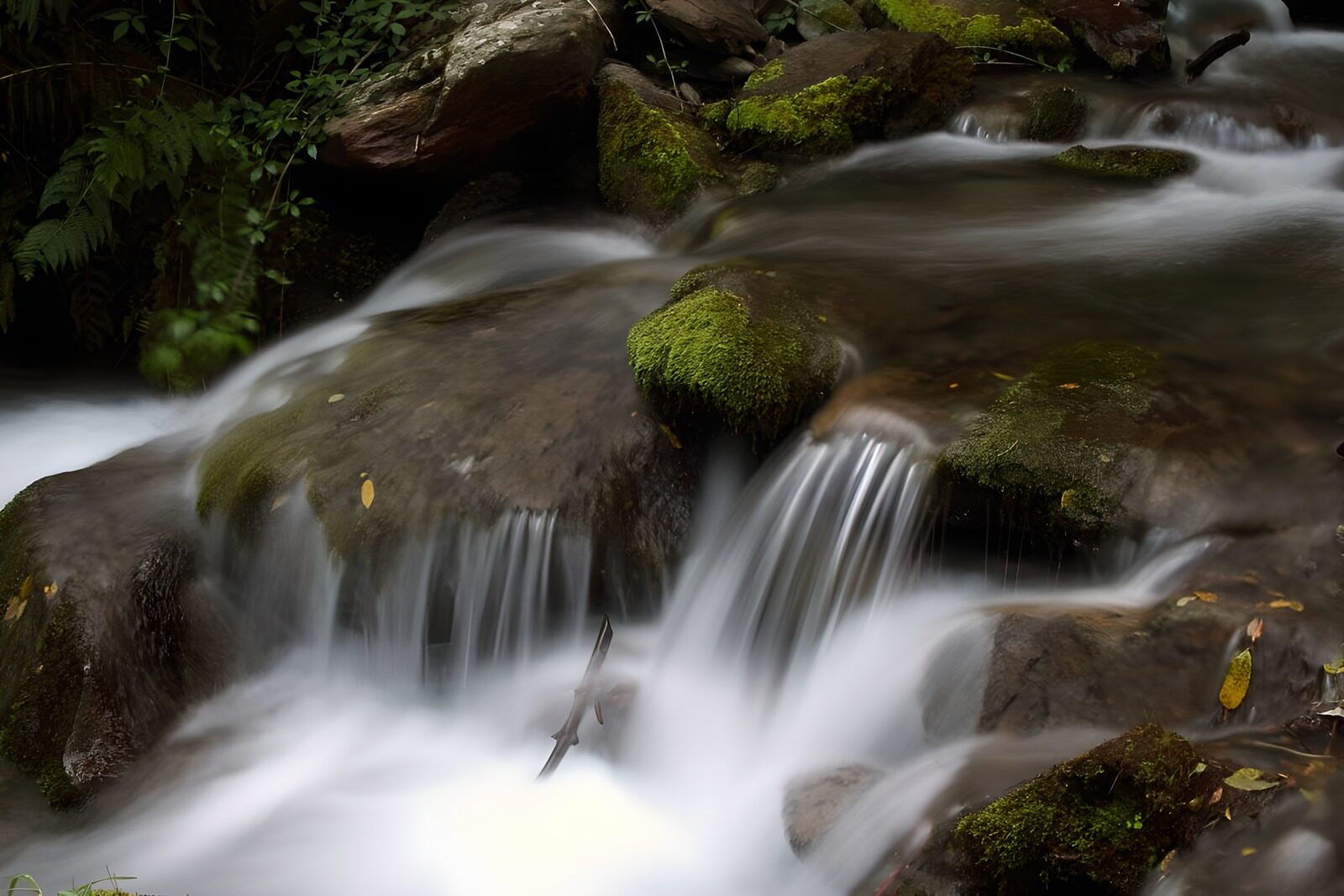 OCCOM3723964: Tranquil Stream in Lush Surroundings
