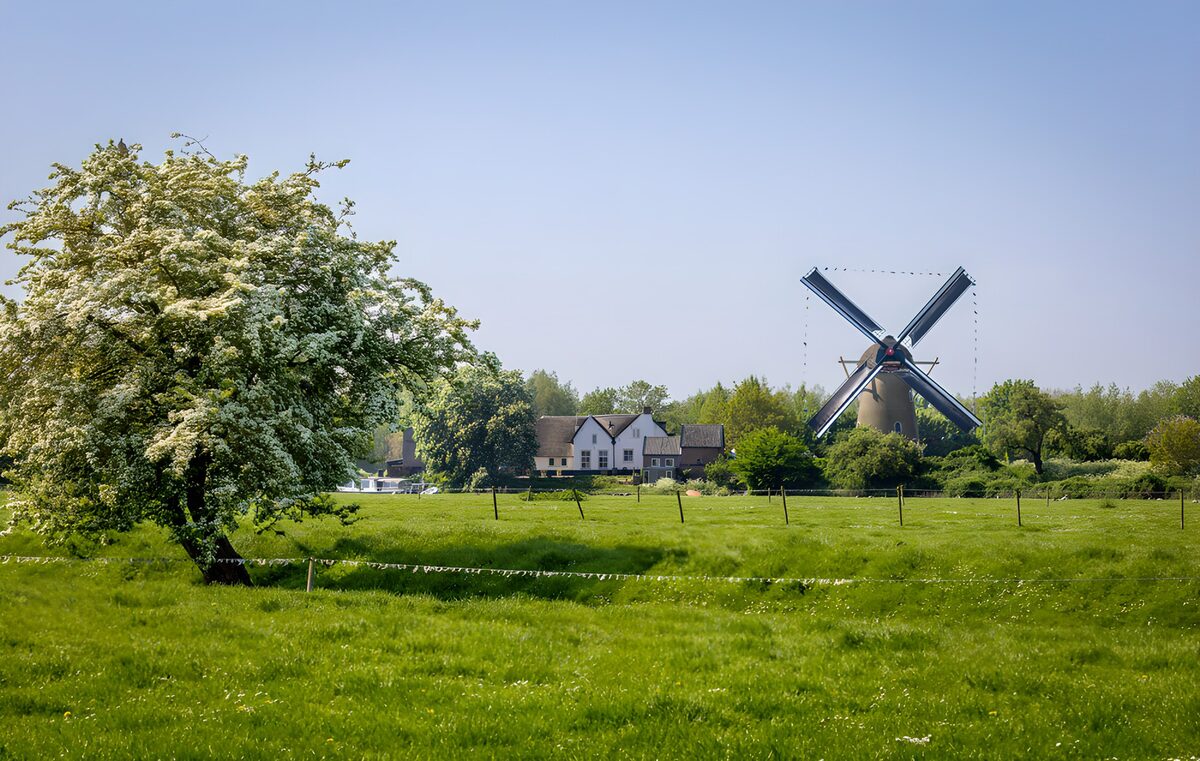 OCCOM1946471: Serene Dutch Countryside with Windmill
