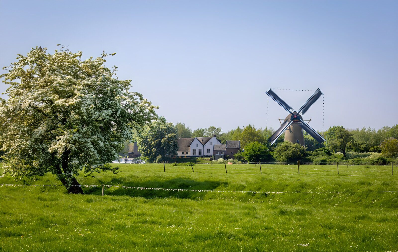 OCCOM1946471: Serene Dutch Countryside with Windmill