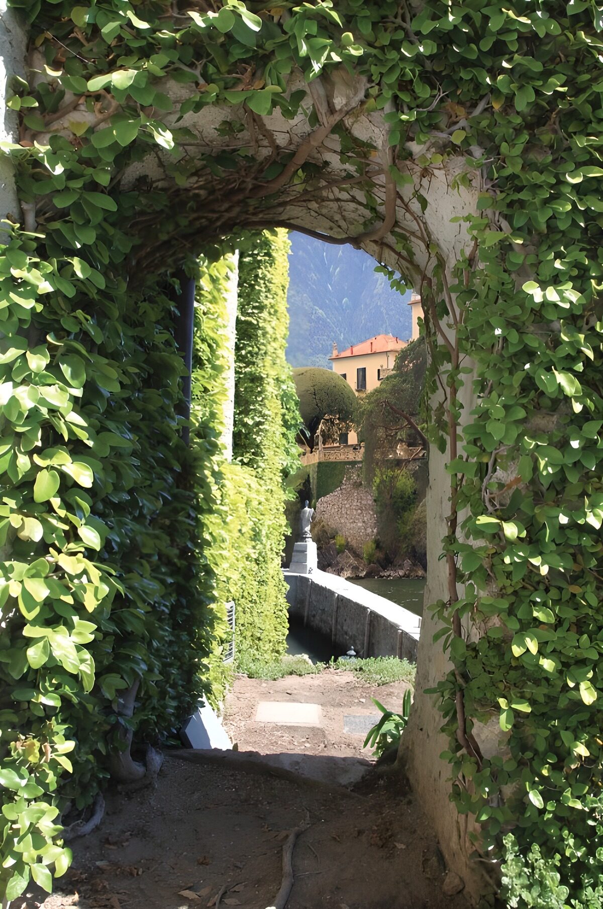 Lush Archway Through Greenery