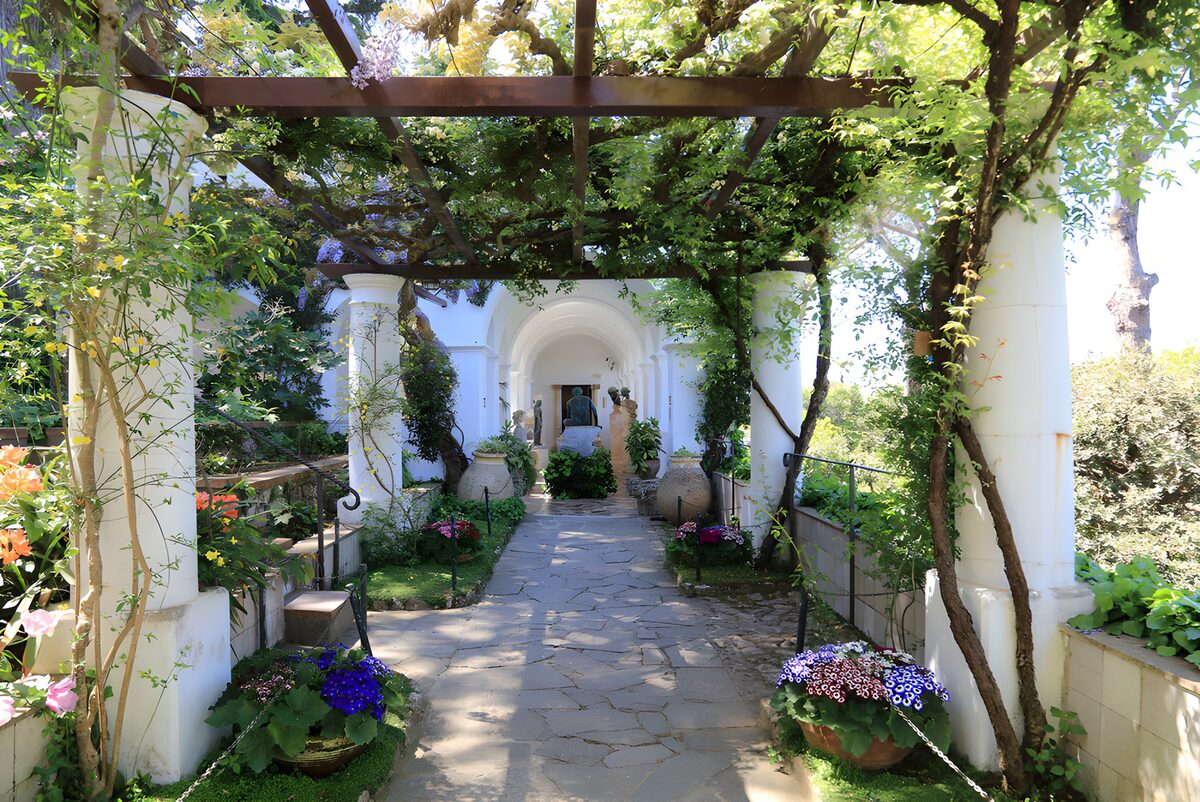 OCCOM1034144: Serene Garden Pathway