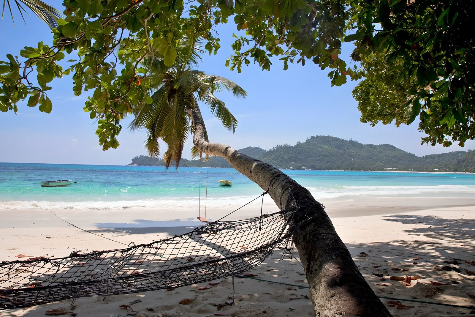 OCCOM1823554: Tranquil Beach Paradise