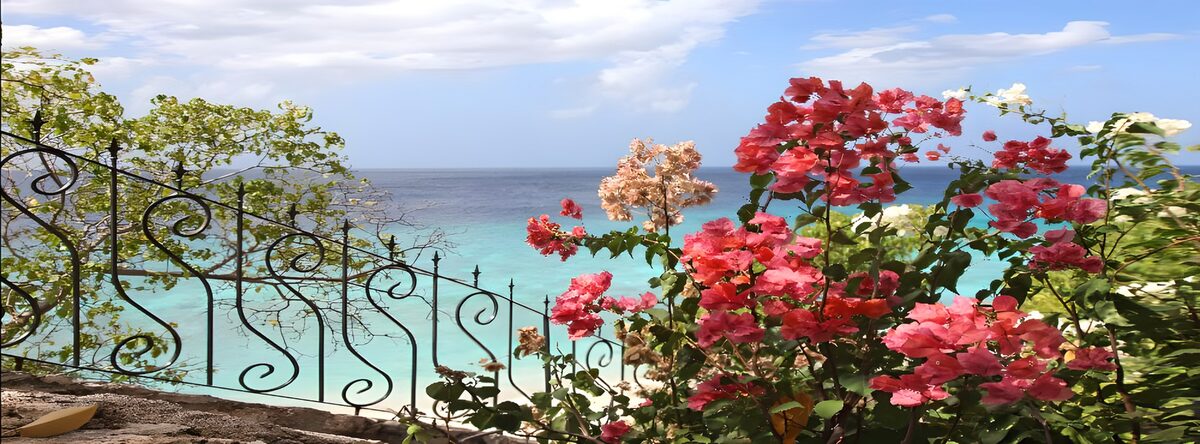 OCCOM6167327: Tropical Paradise with Ocean View